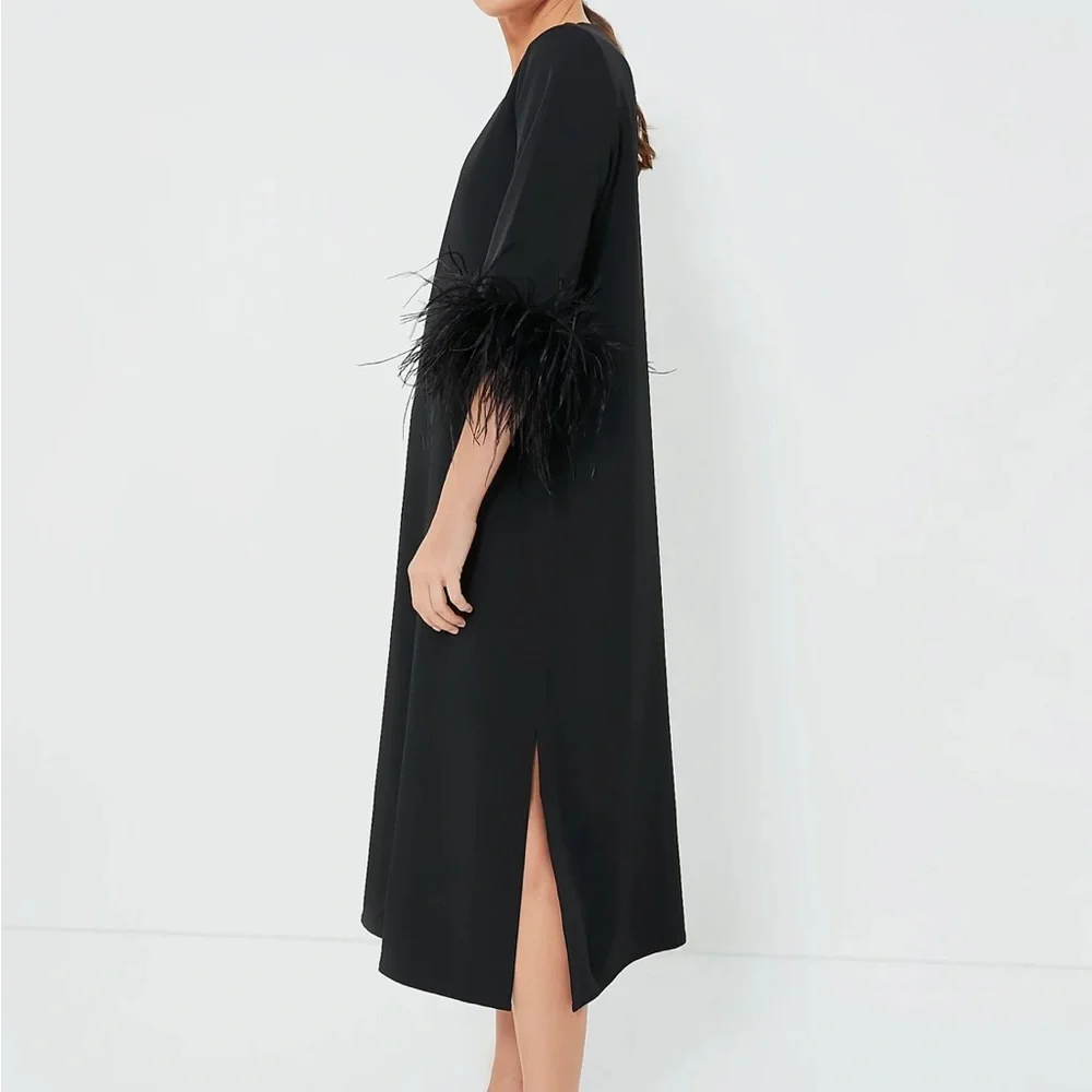 Black Feather Jamie Dress
TUCKERNUCK - Picture 3 of 11